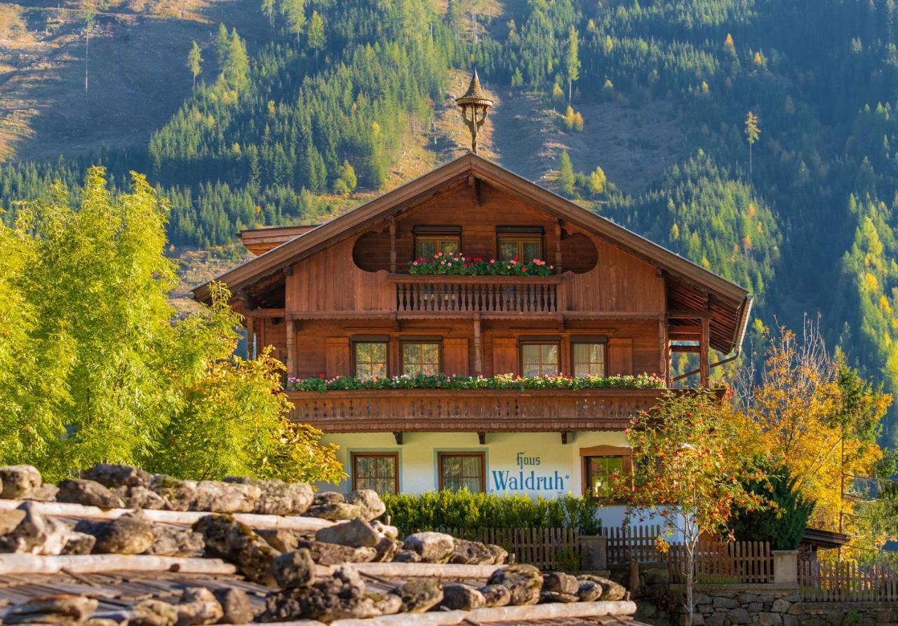 Gaestehaus Waldruh Brandberg Exteriör bild